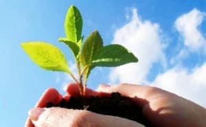 Lee más sobre el artículo Del despido a la creación de su propia empresa.